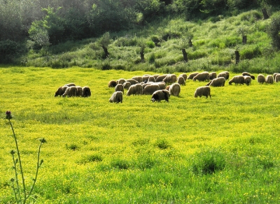 &Tau;ί&tau;&lambda;&omicron;&sigmaf; &Tau;&epsilon;&lambda;&epsilon;&upsilon;&tau;&alpha;ί&alpha;&sigmaf; &alpha;&nu;&alpha;&kappa;&omicron;ί&nu;&omega;&sigma;&eta;&sigmaf; &Delta;&omicron;&kappa;&iota;&mu;&alpha;&sigma;&tau;&iota;&kappa;ό&sigmaf;