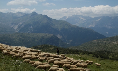 K&epsilon;&nu;&tau;&rho;&iota;&kappa;ή &eta;&mu;&epsilon;&rho;ί&delta;&alpha; &delta;&iota;ά&chi;&upsilon;&sigma;&eta;&sigmaf; &tau;&omega;&nu; &epsilon;&rho;&epsilon;&upsilon;&nu;&eta;&tau;&iota;&kappa;ώ&nu; &alpha;&pi;&omicron;&tau;&epsilon;&lambda;&epsilon;&sigma;&mu;ά&tau;&omega;&nu; &tau;&omicron;&upsilon; &pi;&rho;&omicron;&gamma;&rho;ά&mu;&mu;&alpha;&tau;&omicron;&sigmaf; "&Theta;&Alpha;&Lambda;&Eta;&Sigma; &ndash; &Alpha;&Tau;&Epsilon;&Iota;&Theta;"